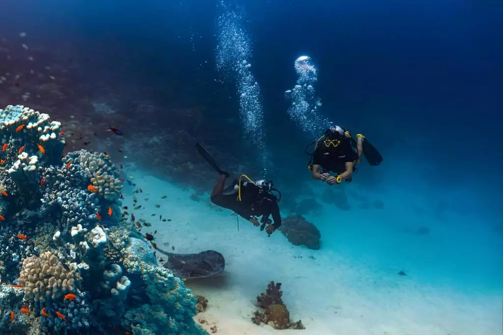 غواصی هتل هریتنس آراه مالدیوز